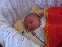 Celeste Cribb Waterman
